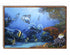 Original Coral Reef Art Print - Hello Coral Trout